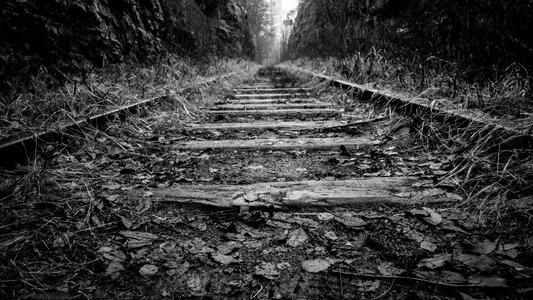 Rail Trail photo
