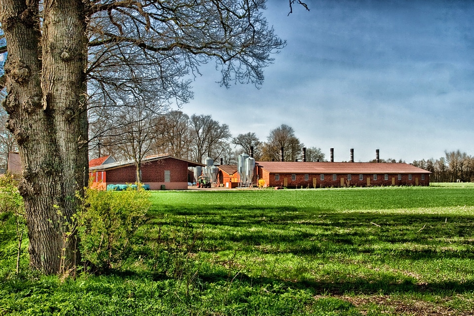 Rural hdr barn photo