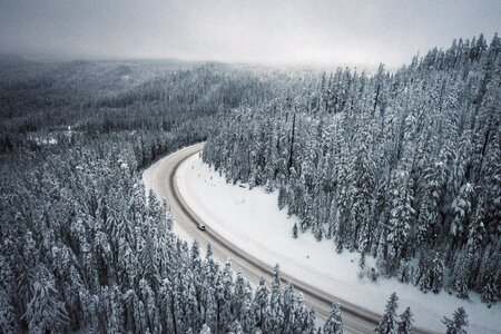 Snow Winter photo