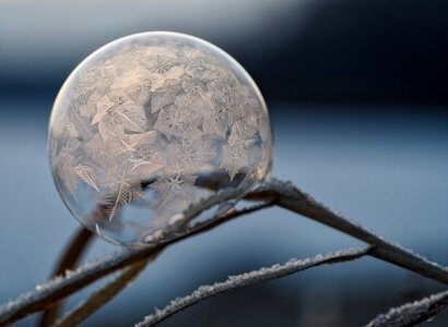 Snow Winter photo