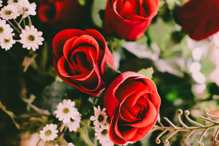 Flower Red
