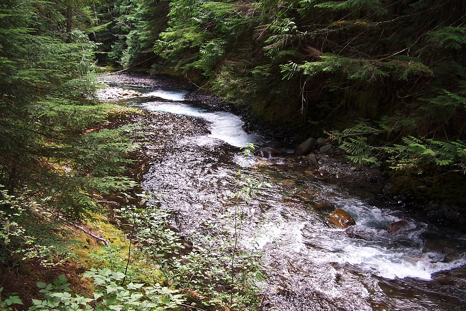River rocks mountains