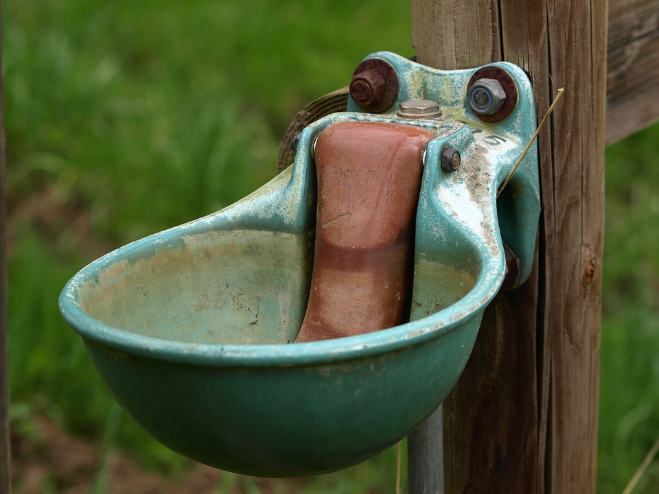 Pderdetraenke water soak