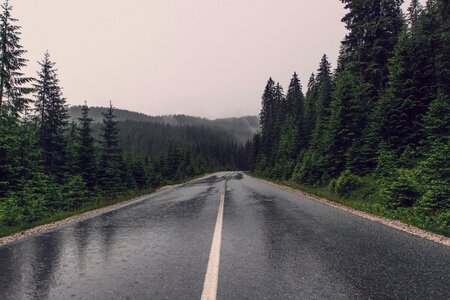 Road Rain photo
