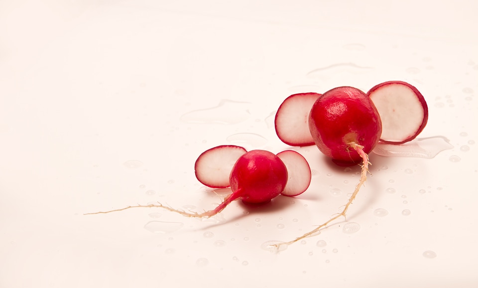 Vegetarian healthy food