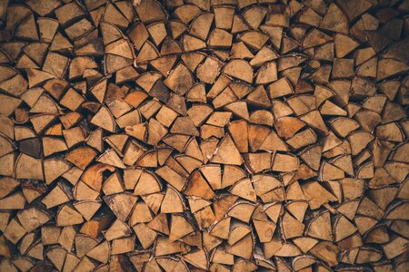 Wood Forest