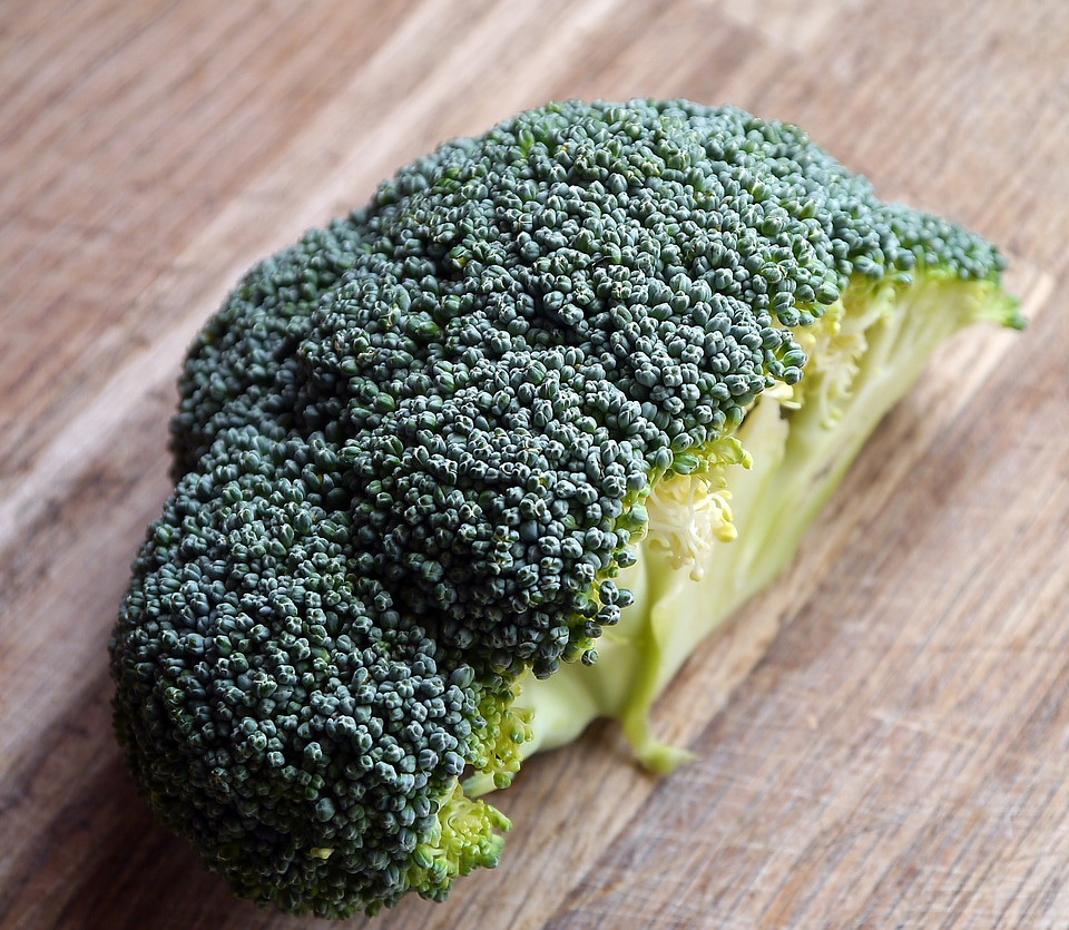 Healthy brocoli ingredient