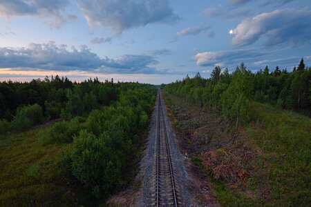Trees Railway photo