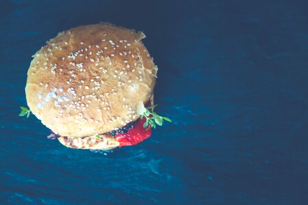 Hamburger Burger photo