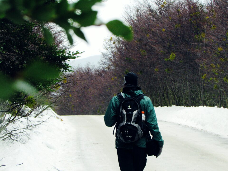 Snow Winter photo