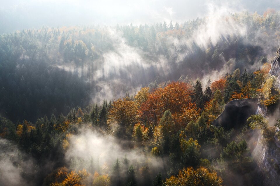 Nature Landscape