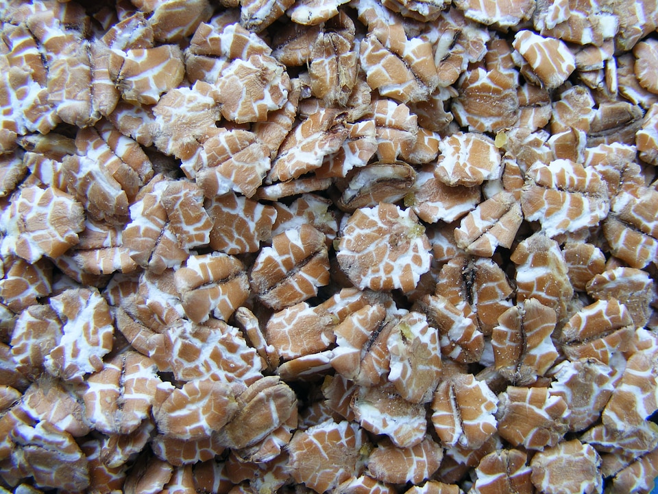 Omega-3 supplement vitamins