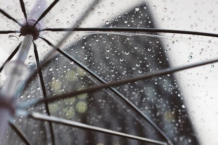 Rain Umbrella photo
