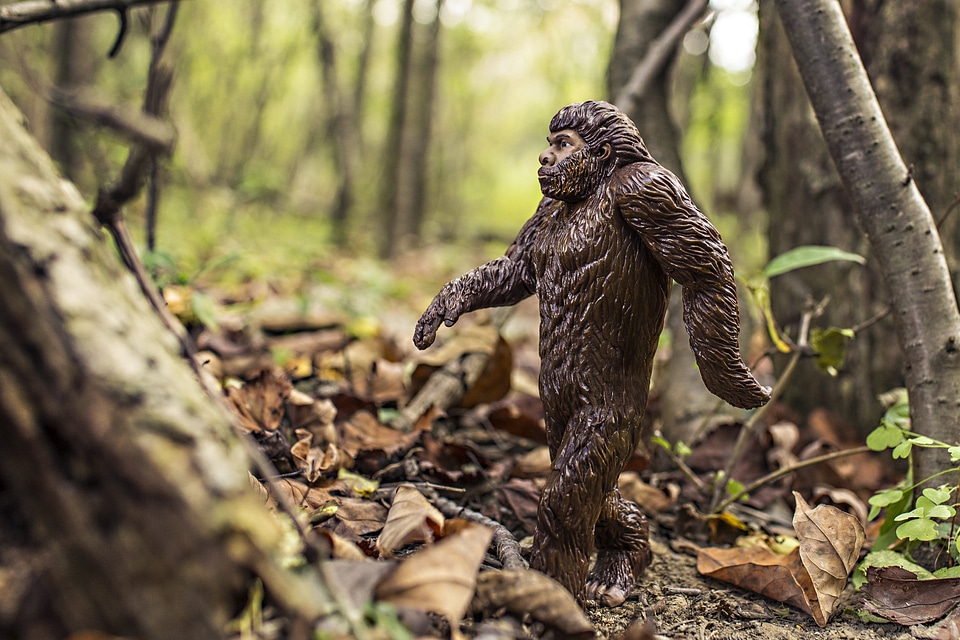 Neandertals great ape walking