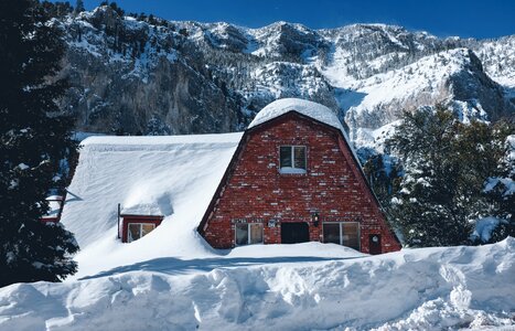 Snow Nature