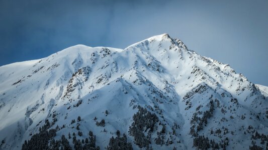 Snow Winter photo