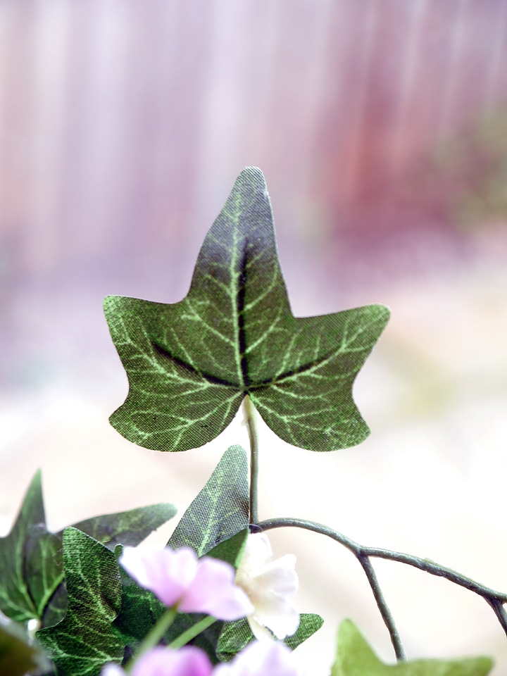 Nature plant decoration