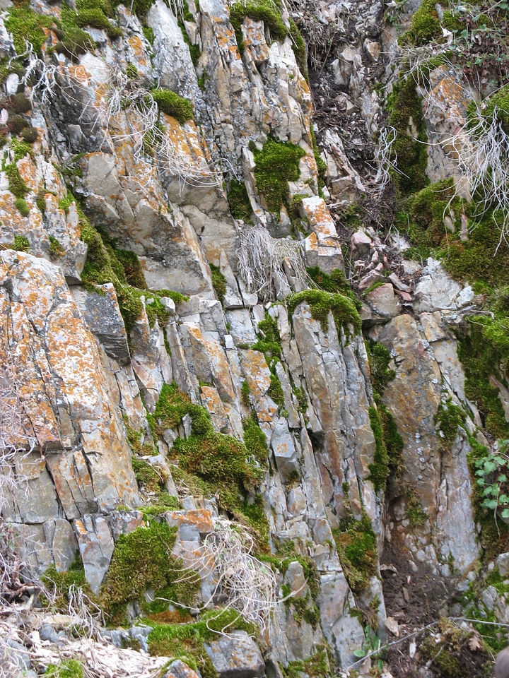 Green cliff color