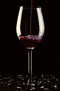 Wine Vine