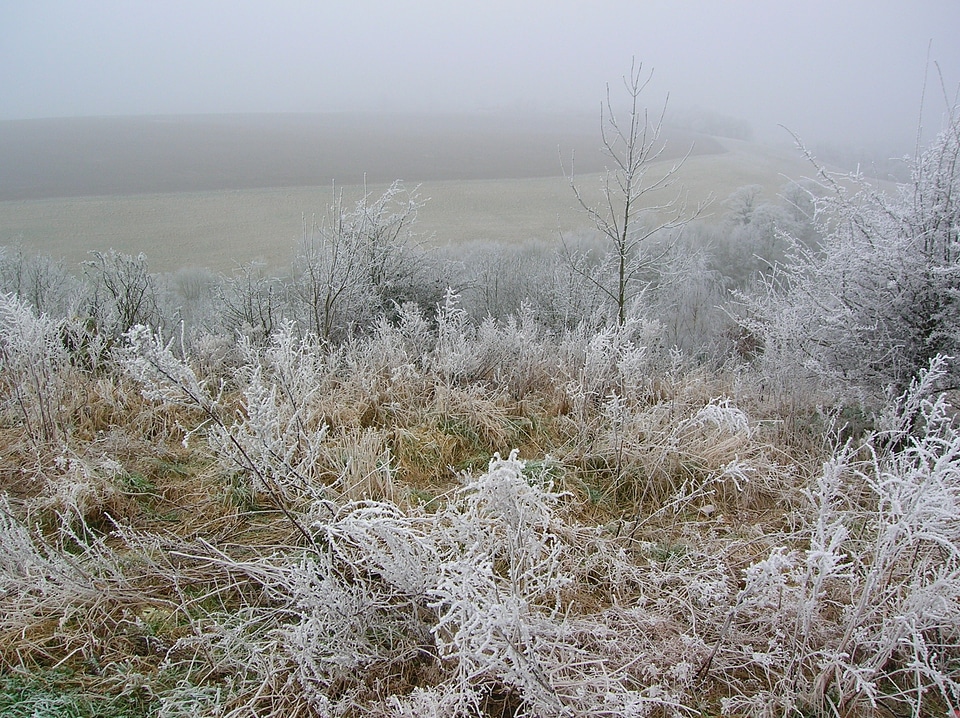 Cold frozen snow