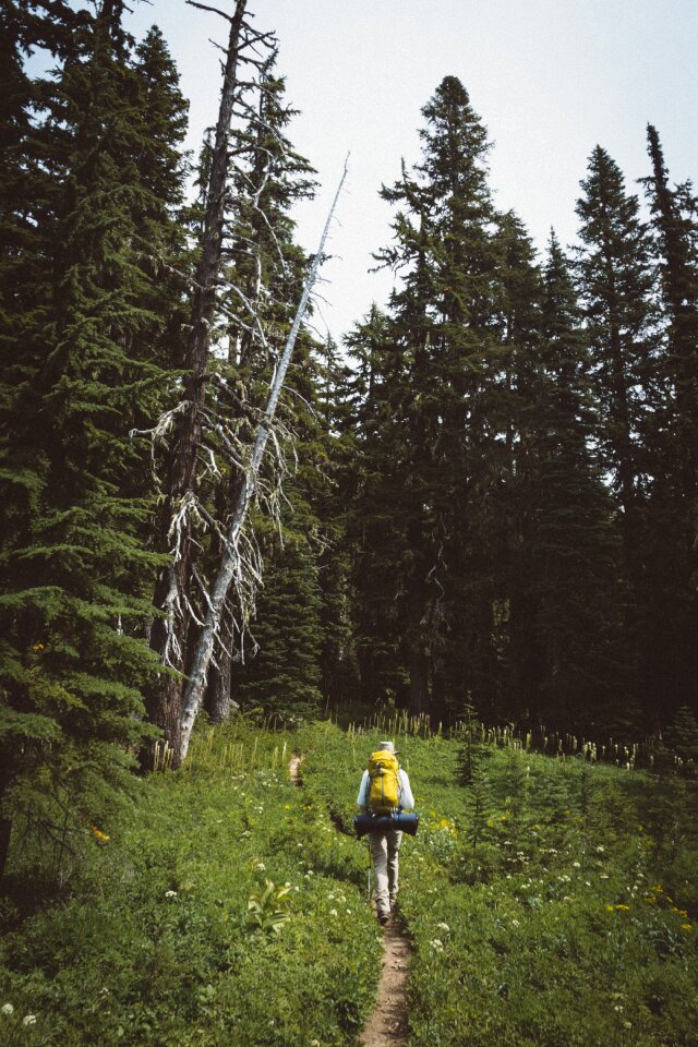 Nature People