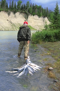 Fishing salmon kasilof