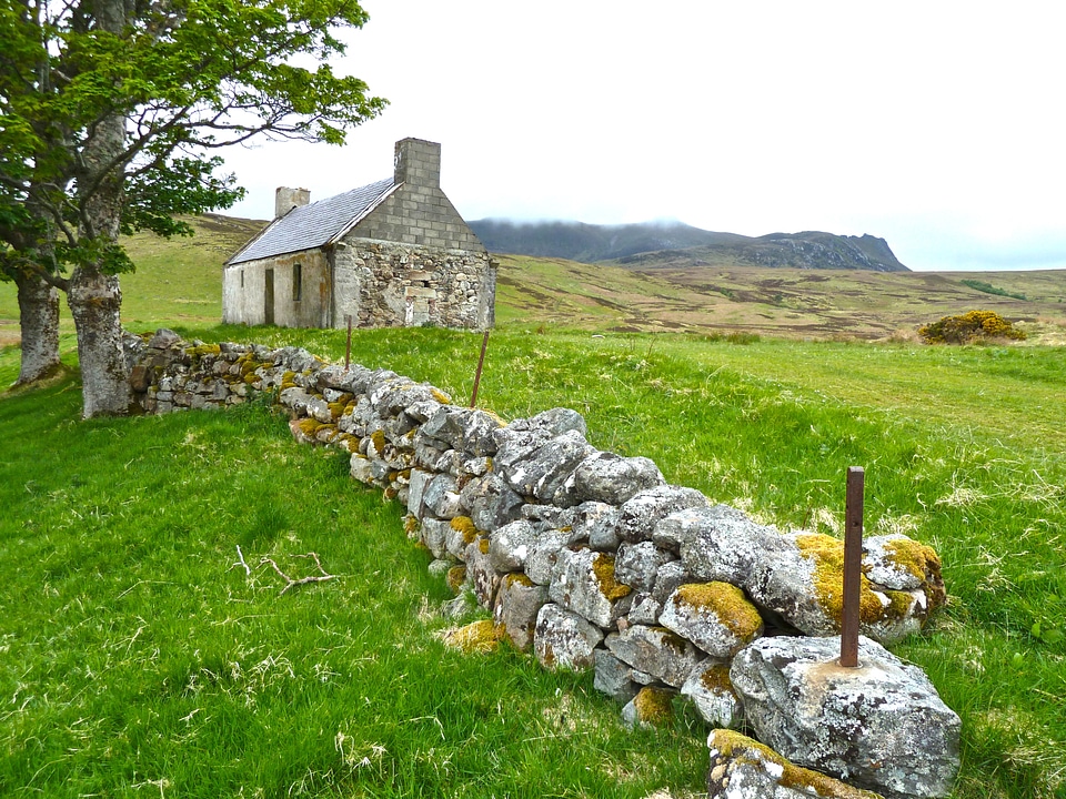 Nature field farm photo