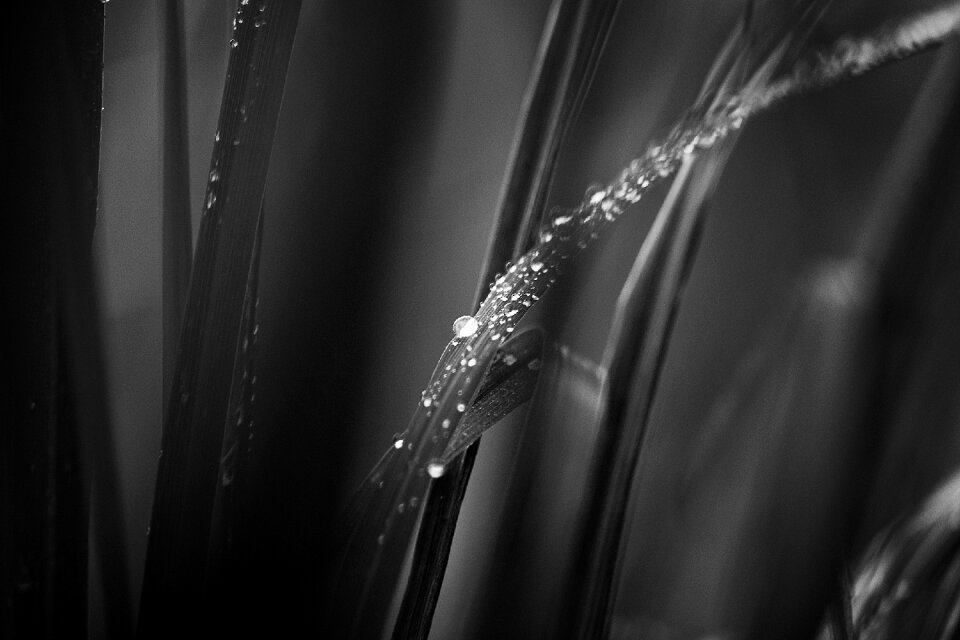 Black And White Water