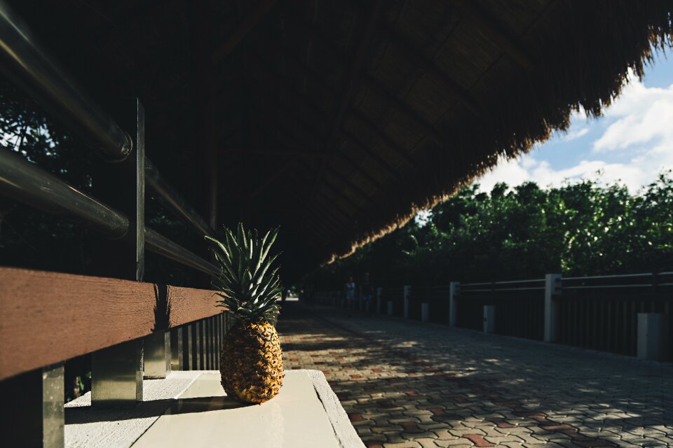 Pineapple Dessert photo