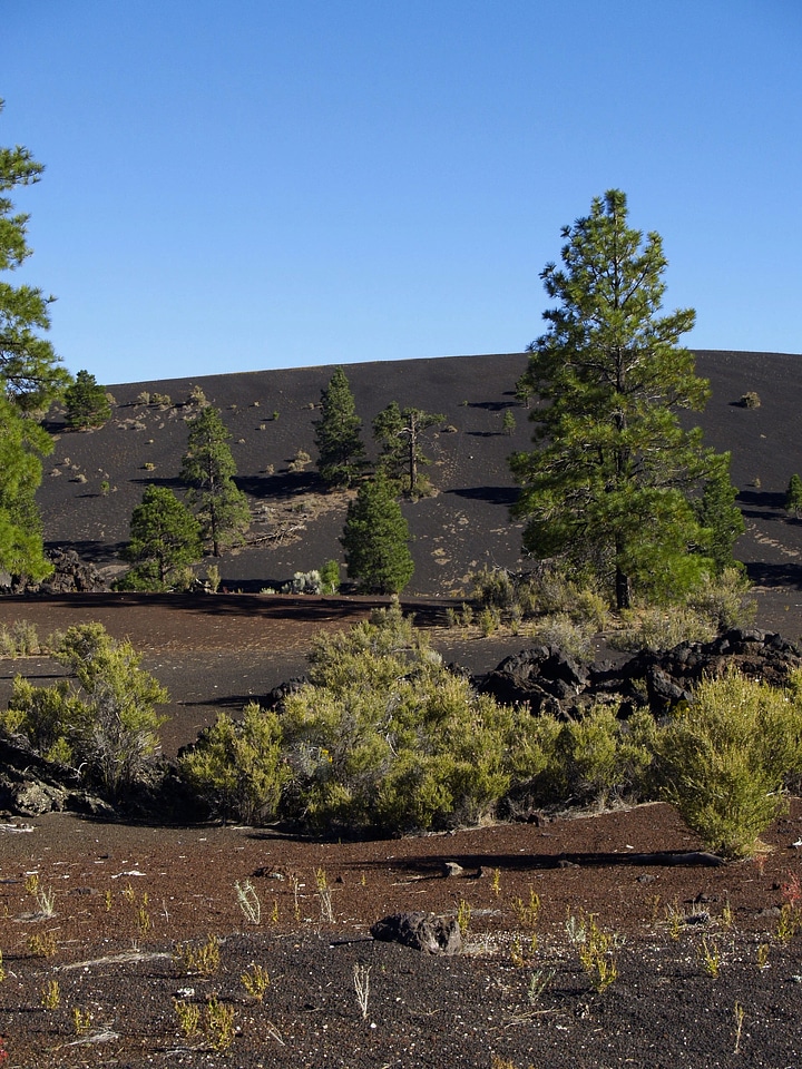 Usa volcano landscape