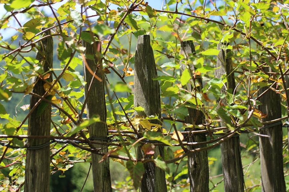 Wood fence roll fence pole fence