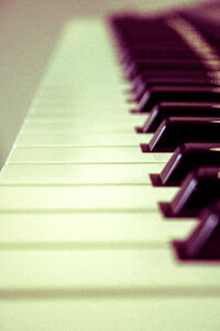 Keyboard Organ photo