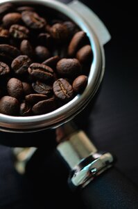 Coffee Bean photo
