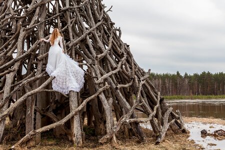 Wood Tree photo