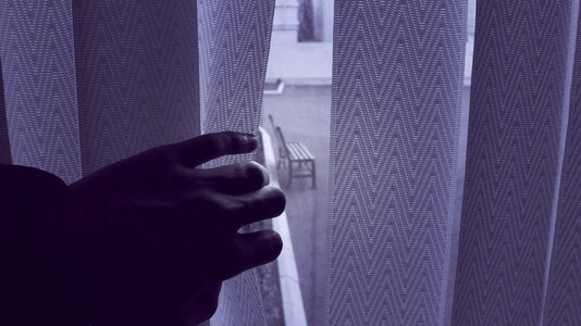 Window Curtain photo