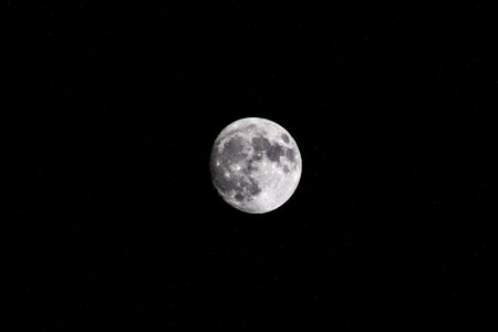 Moon Dark photo