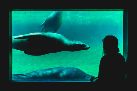 Underwater Aquarium photo