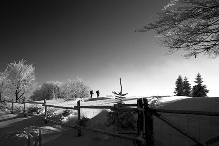 Fence Snow photo