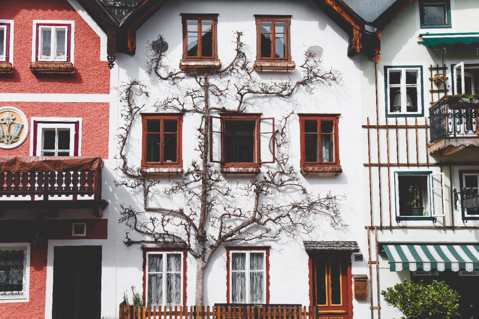 Architecture House
