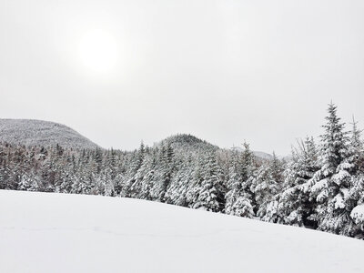 Snow Winter photo