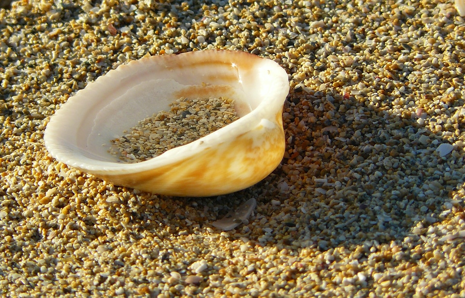 Sand sand beach coast