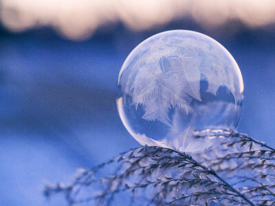 Feather Dream Catcher photo