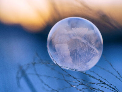 Feather Dream Catcher photo