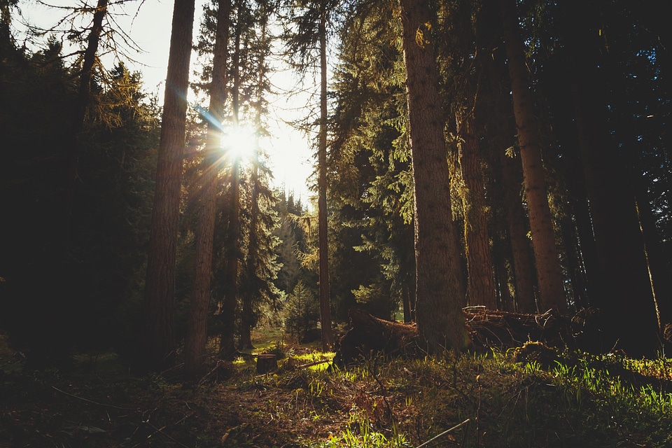 Sunset sun nature