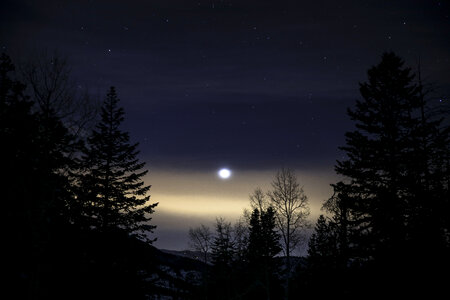 Moon Light photo