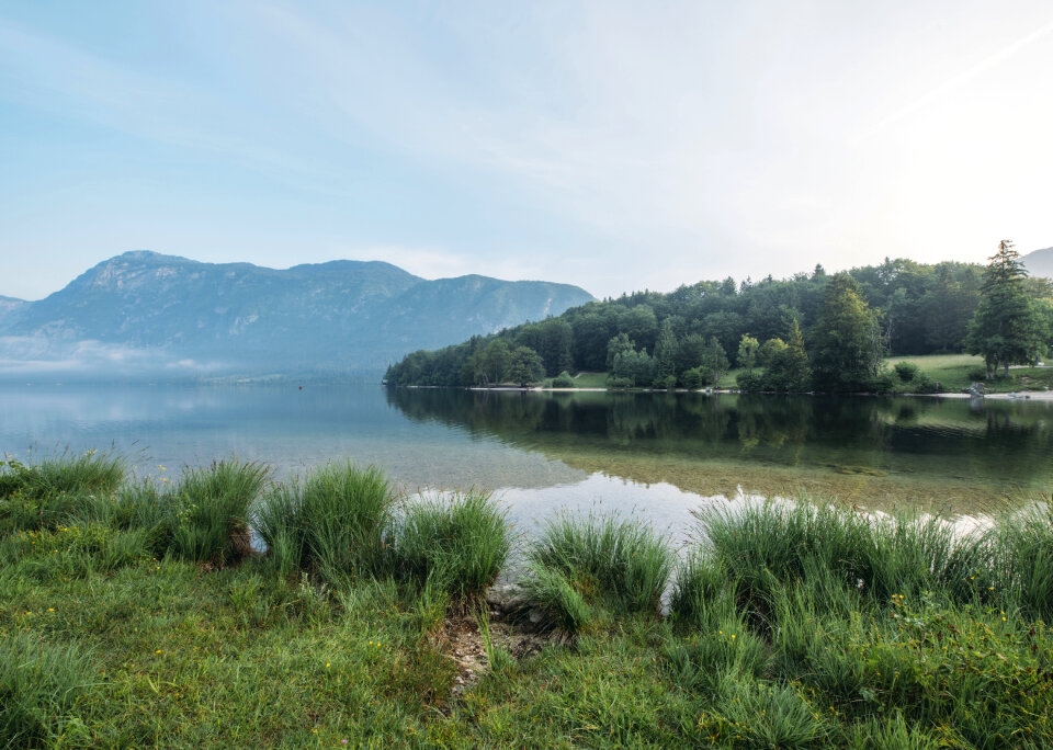 Nature Landscape