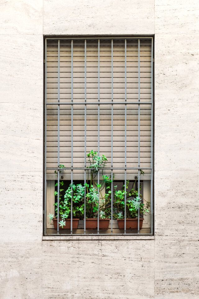 Symmetry Aesthetics