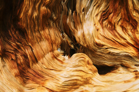 Abstract Brown