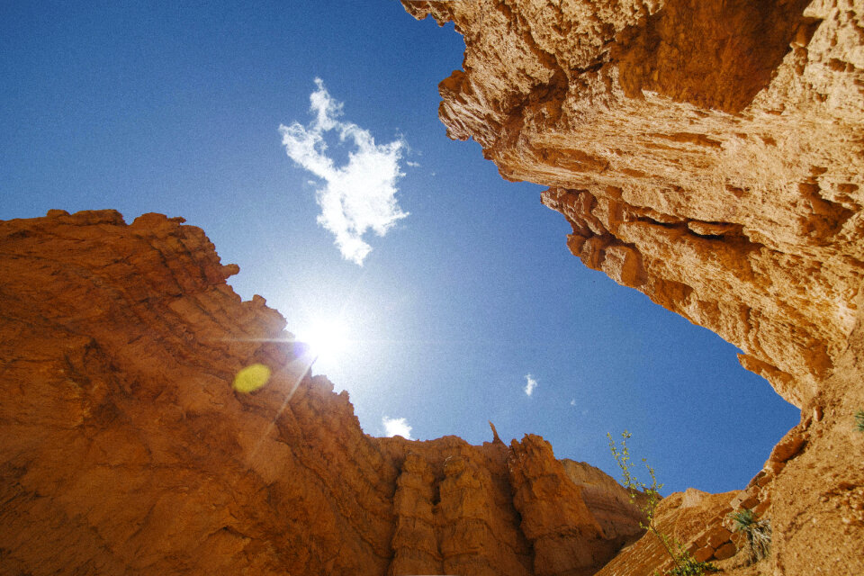 Nature Landscape