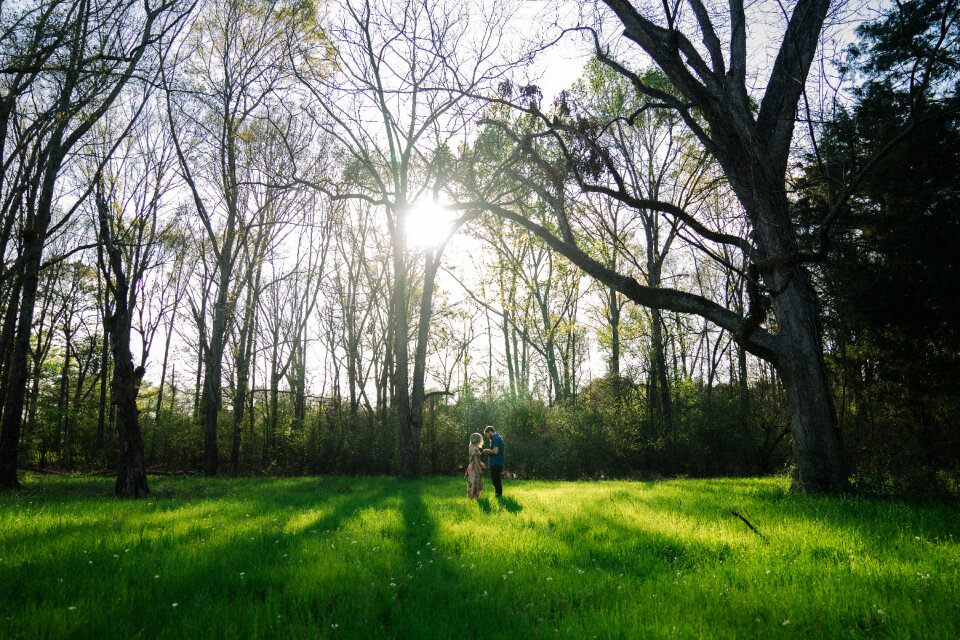 Green Grass photo